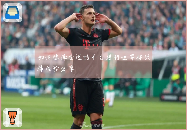 如何选择合适的平台进行世界杯买球经验分享