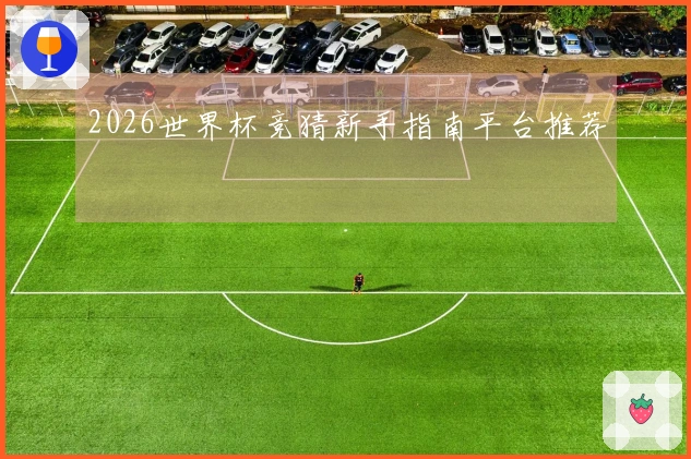2026世界杯竞猜新手指南平台推荐