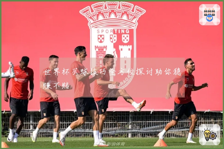 世界杯买球技巧全方位探讨助你稳赚不赔