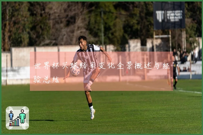世界杯买球赔率变化全景概述与经验总结