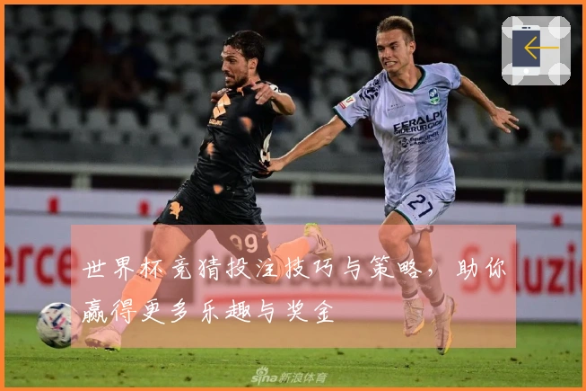 世界杯竞猜投注技巧与策略，助你赢得更多乐趣与奖金