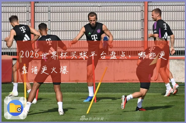 2026世界杯买球平台盘点，哪些更靠谱更火爆