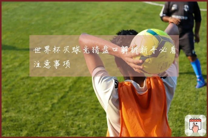 世界杯买球竞猜盘口解析新手必看注意事项