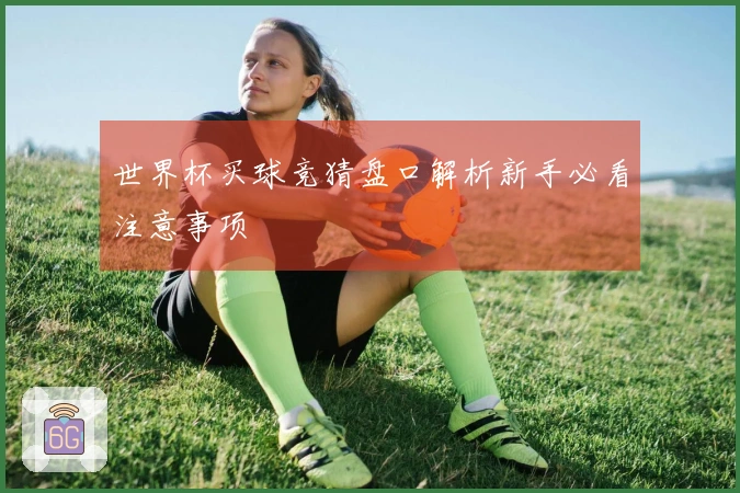世界杯买球竞猜盘口解析新手必看注意事项