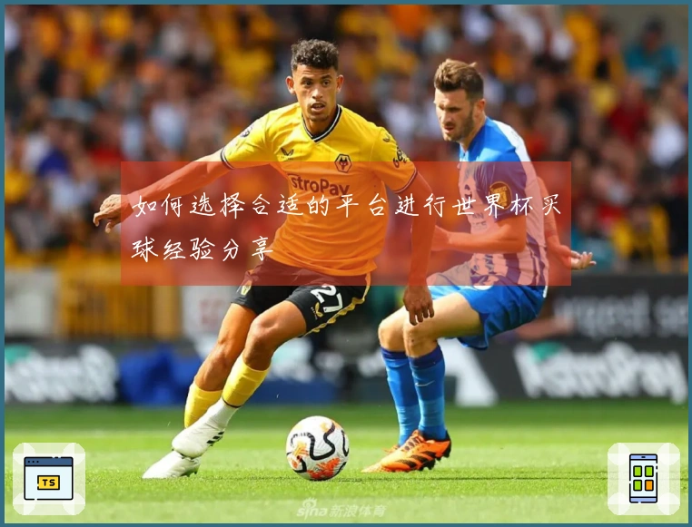 如何选择合适的平台进行世界杯买球经验分享