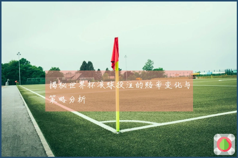 揭秘世界杯滚球投注的赔率变化与策略分析