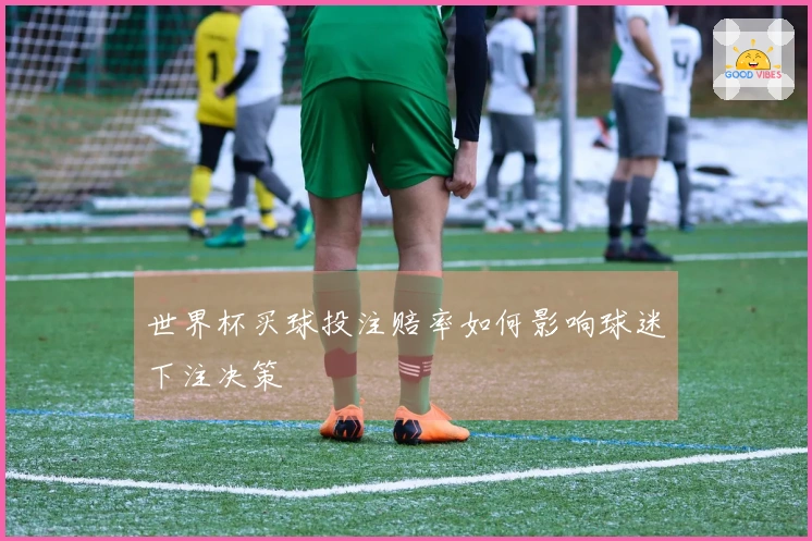 世界杯买球投注赔率如何影响球迷下注决策